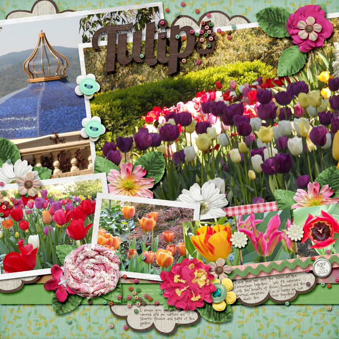 Tulips