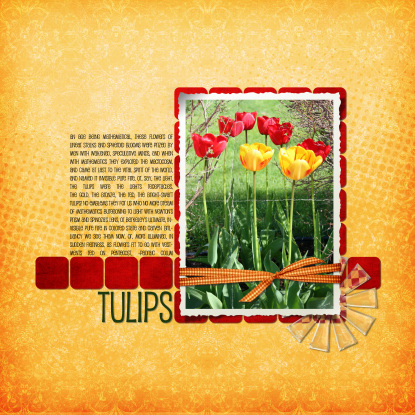 Tulips