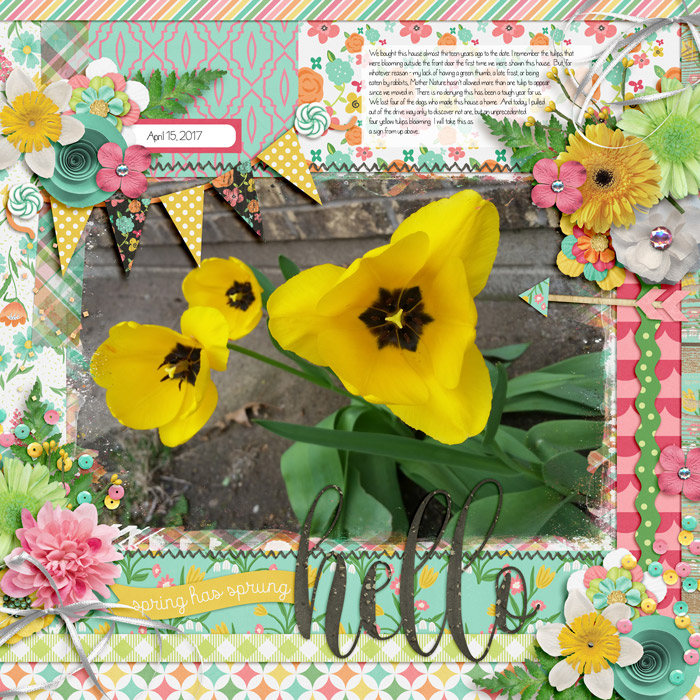 Tulips