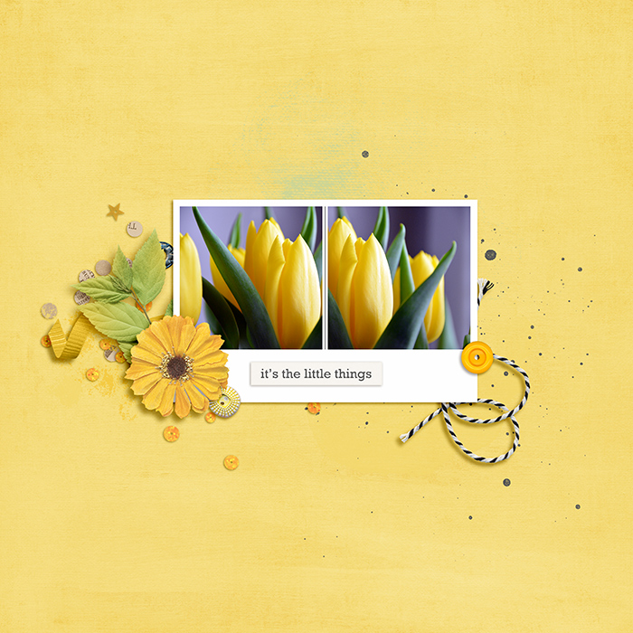 Tulips