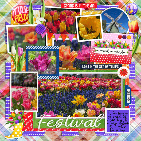 Tulips
