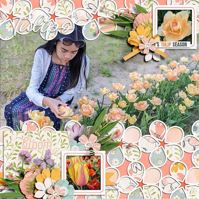 Tulips