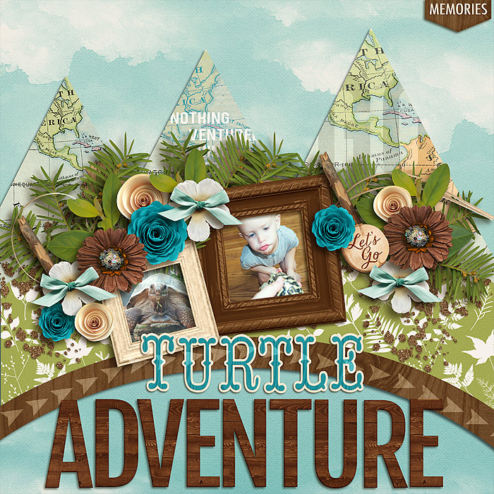Turtle Adventure