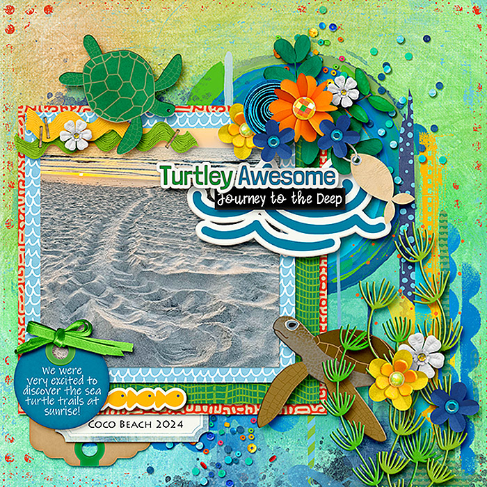 Turtle Trails
