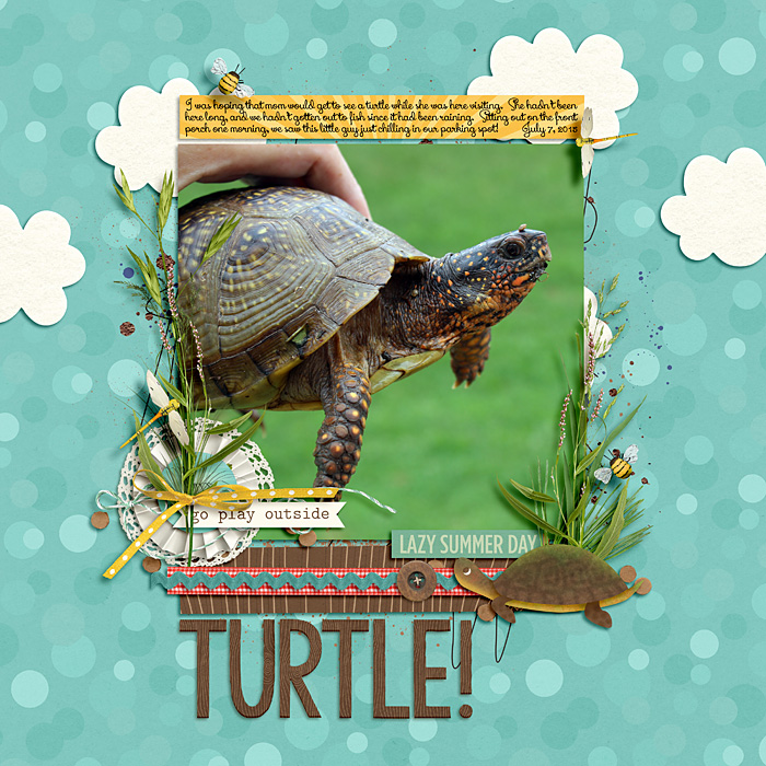 turtle!