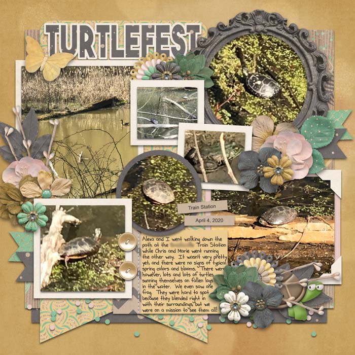 Turtlefest