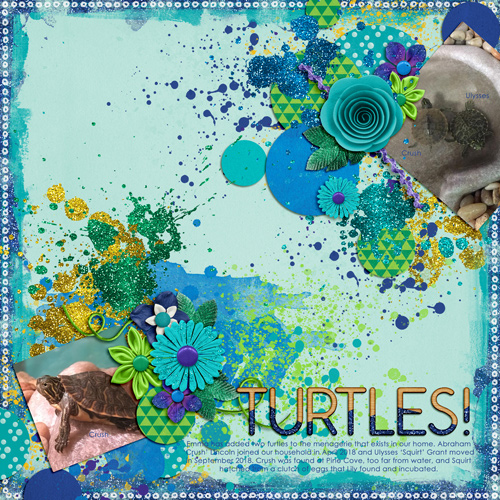 Turtles