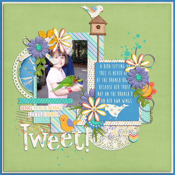 tweet!!!