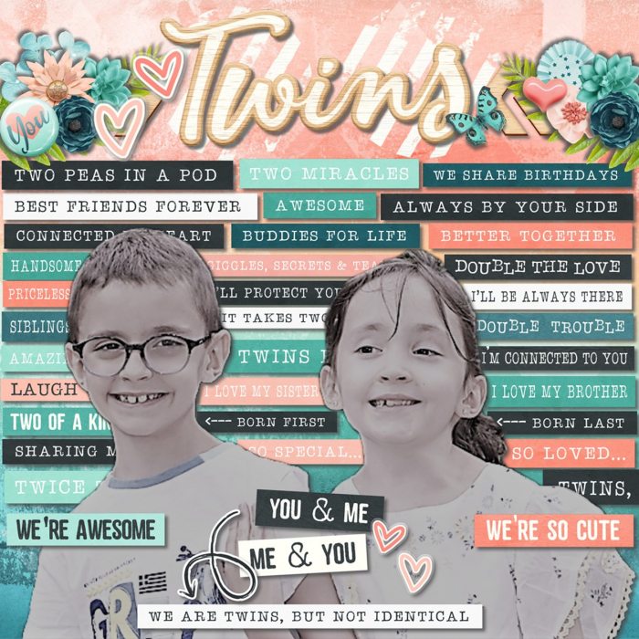 Twins Story