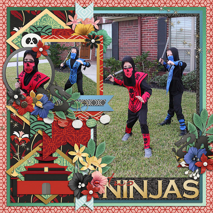 two ninjas