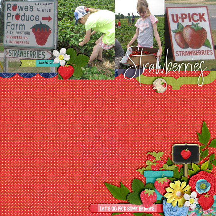 U Pick Strawberries