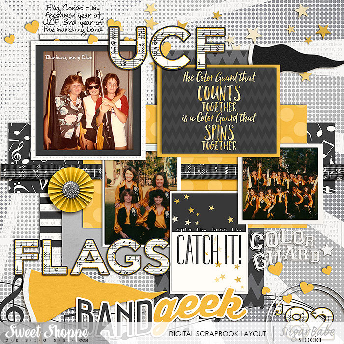 UCF Flags