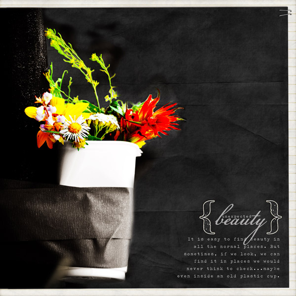 Unexpected Beauty