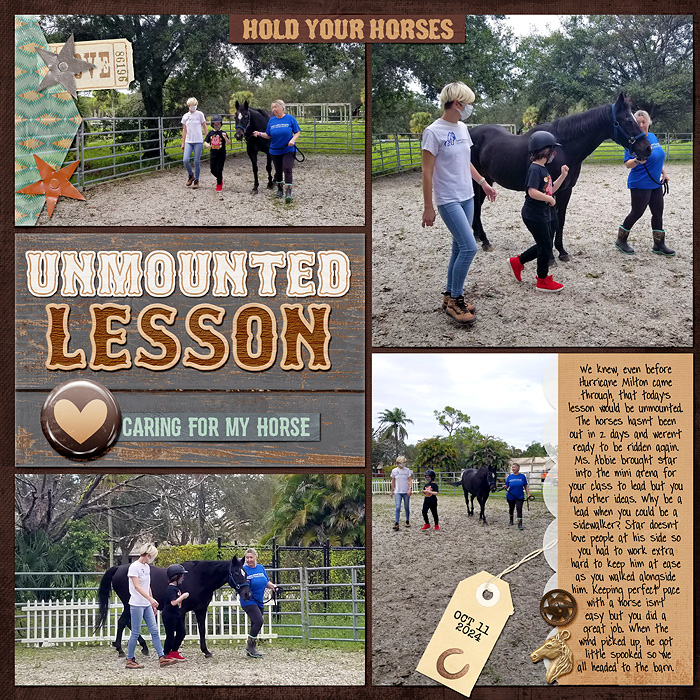 unmounted lesson - left
