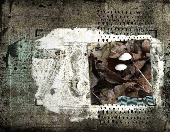 Untitled-214