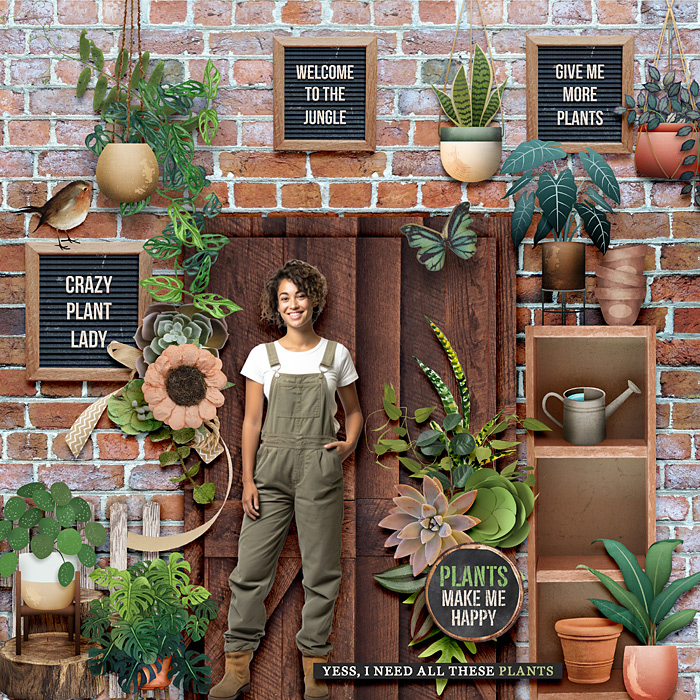 Urban Jungle
