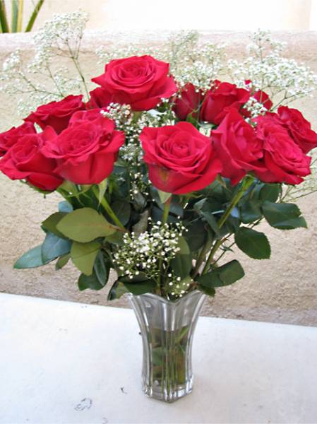 V-Day Roses - Full Shot (#2)