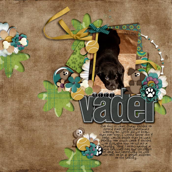Vader