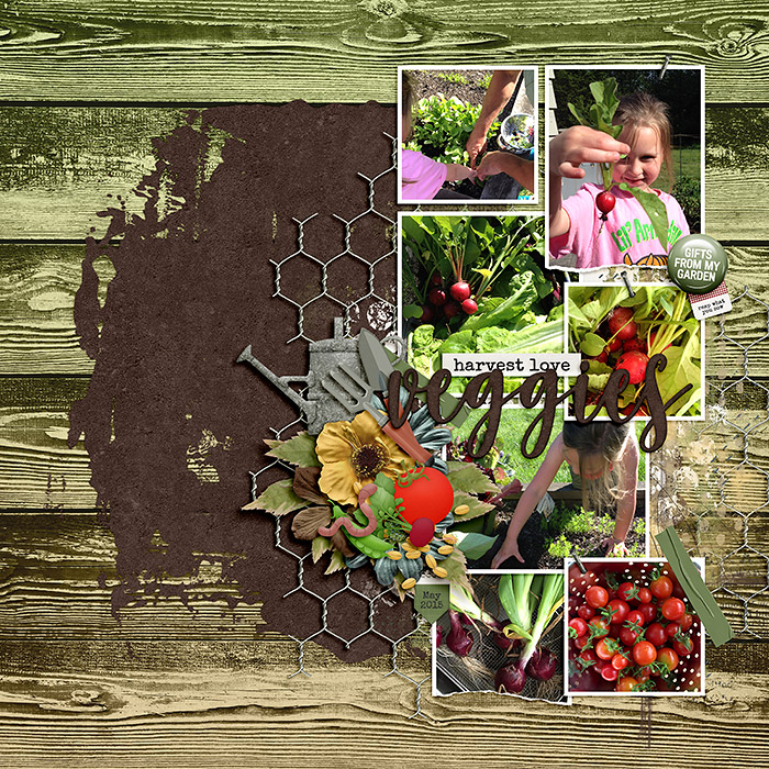 Veggie Garden