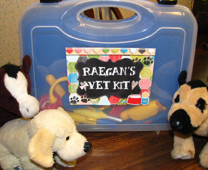 Vet Bag