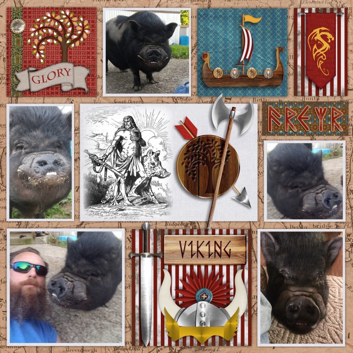 Viking Freyr