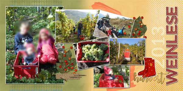 vineyard