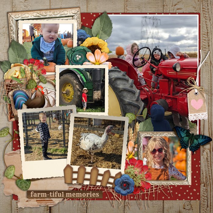 Visit to the farm