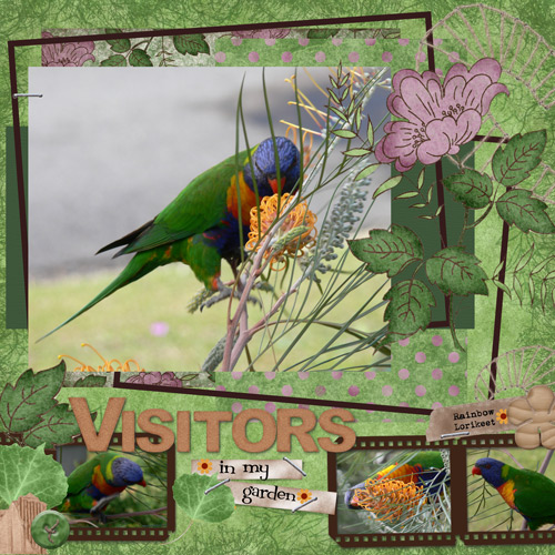 Visitors