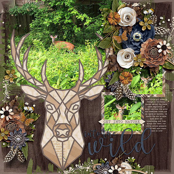 Visits from Mr. Deer