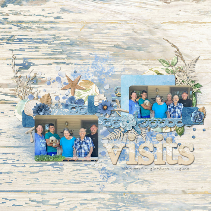 Visits