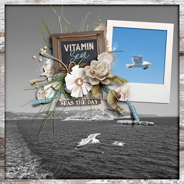 Vitamin Sea