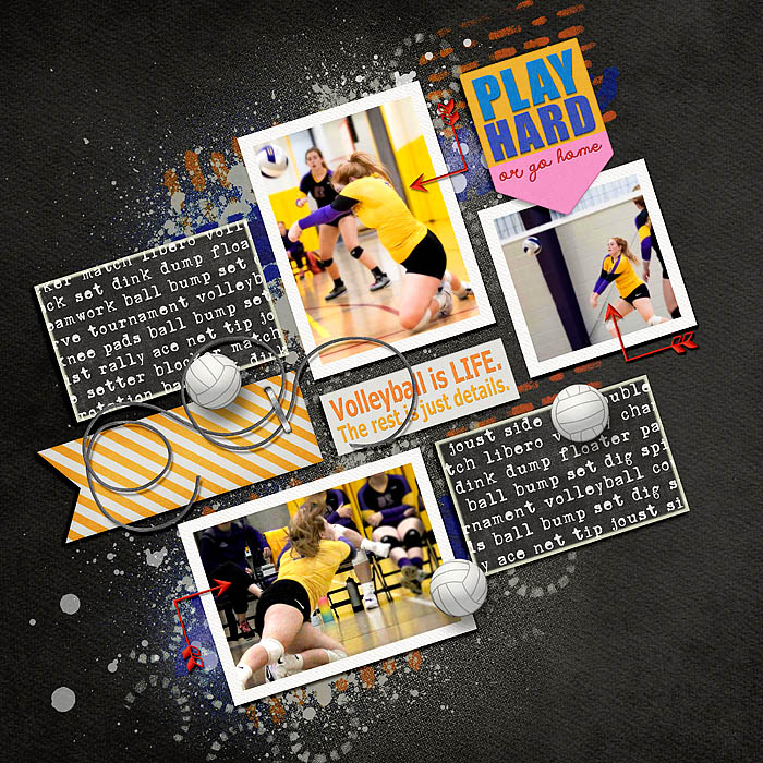 Volleyball