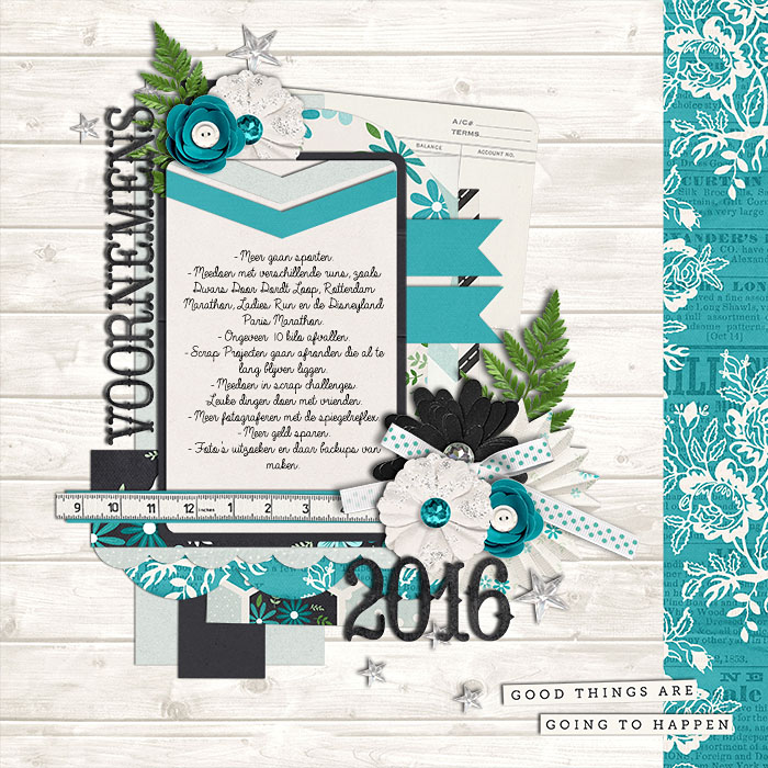 Voornemens 2016 (Goals 2016)