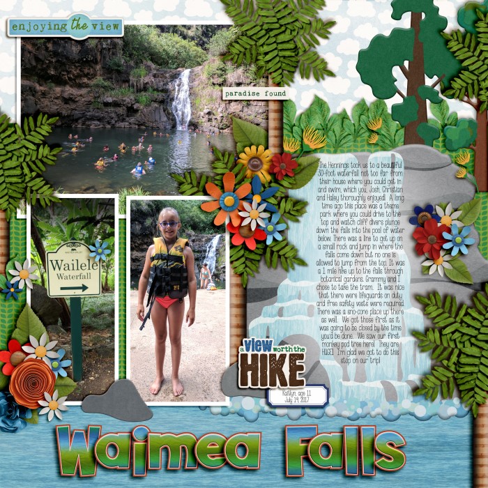 Waimea Falls - 2017