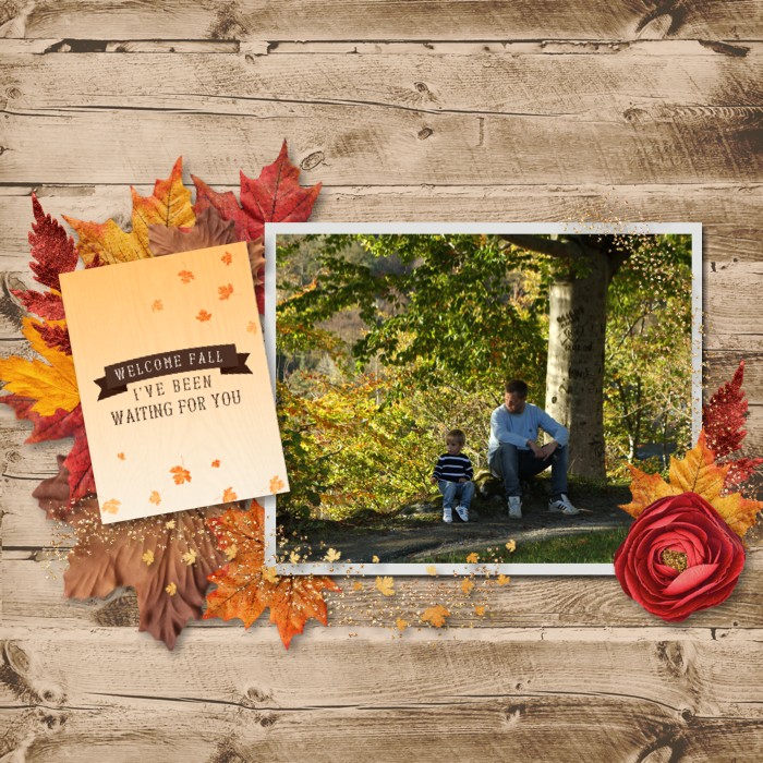 Waiting for fall