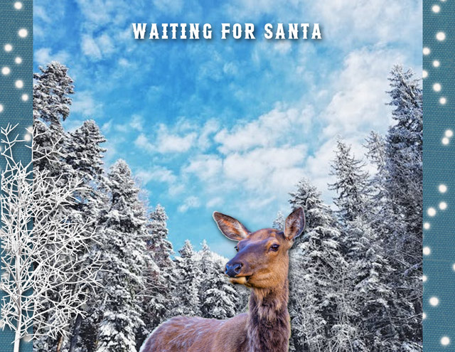 Waiting for Santa