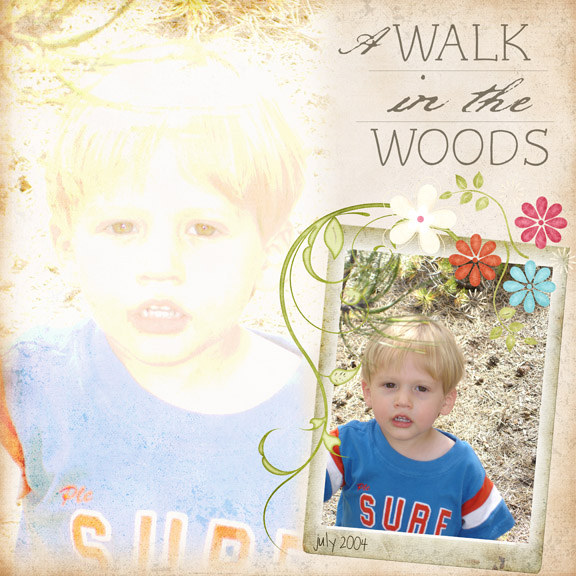 Walk in the Woods