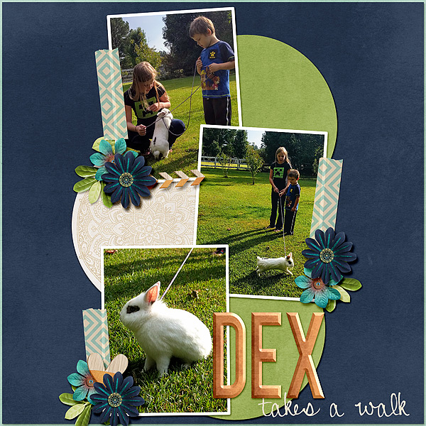 Walking Dex