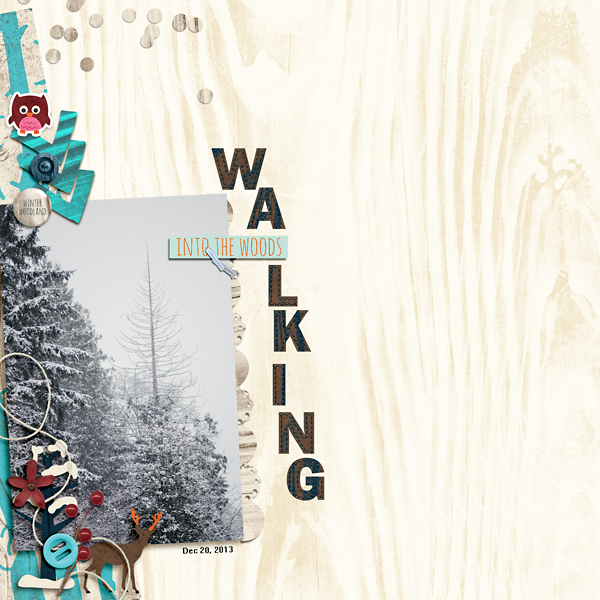 Walking Into The Woods