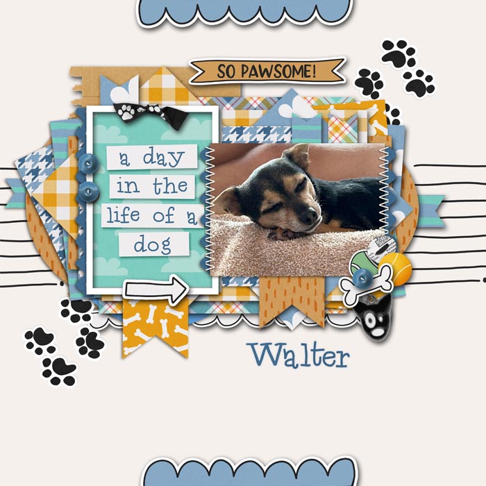 Walter Sleeping