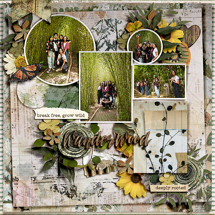 Wanderwood
