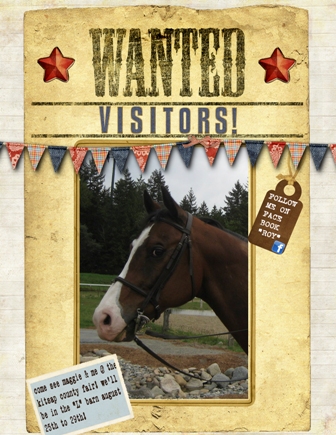 Wanted: Visitors