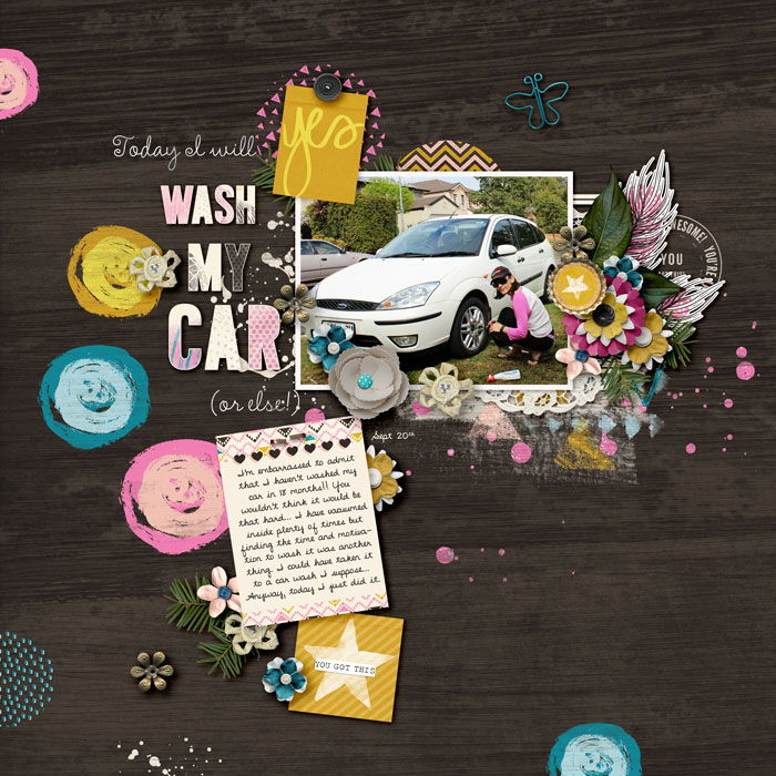 Wash My Car