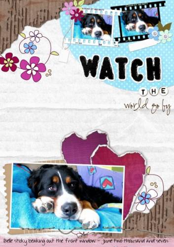 Watch the world