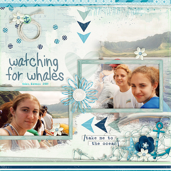 Watching For Whales