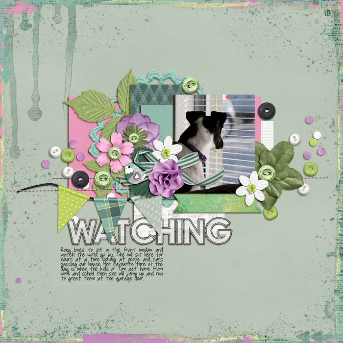 Watching
