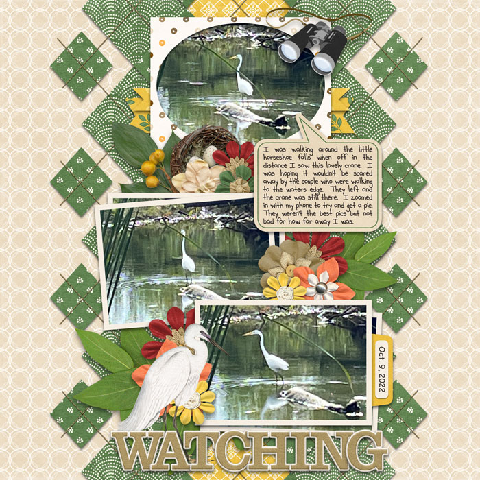 Watching