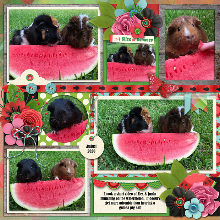 Watermelon, left side