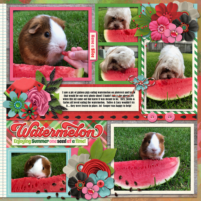 Watermelon, right side