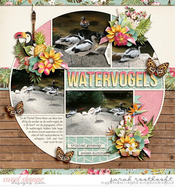 Watervogels